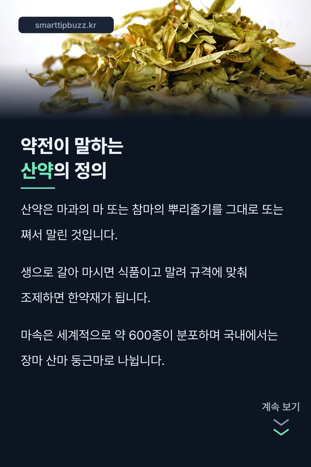 약전의 산약 정의
