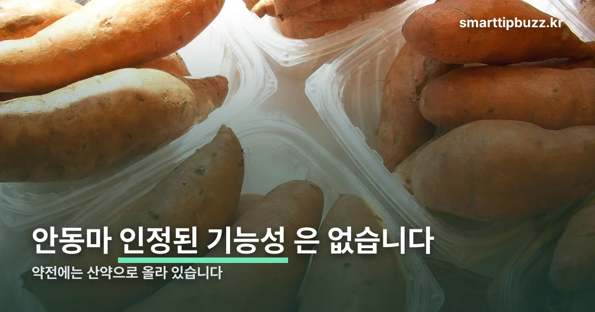 안동마효능 정리 썸네일