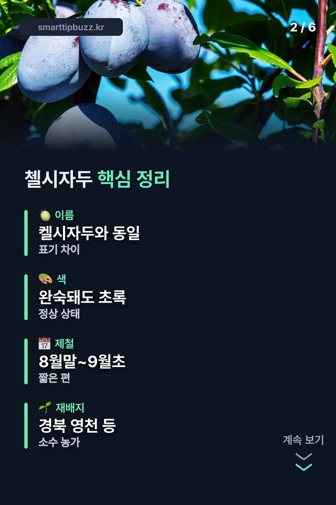 핵심 정리 카드