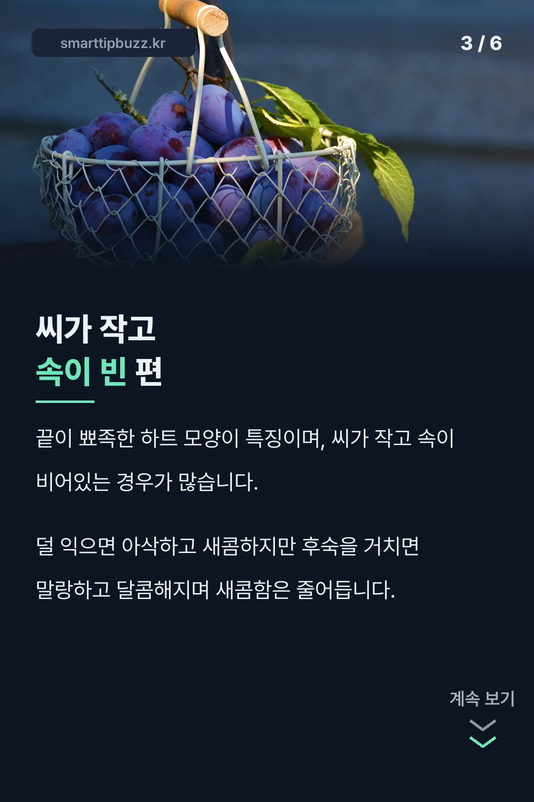 씨 작고 속 빈 특징