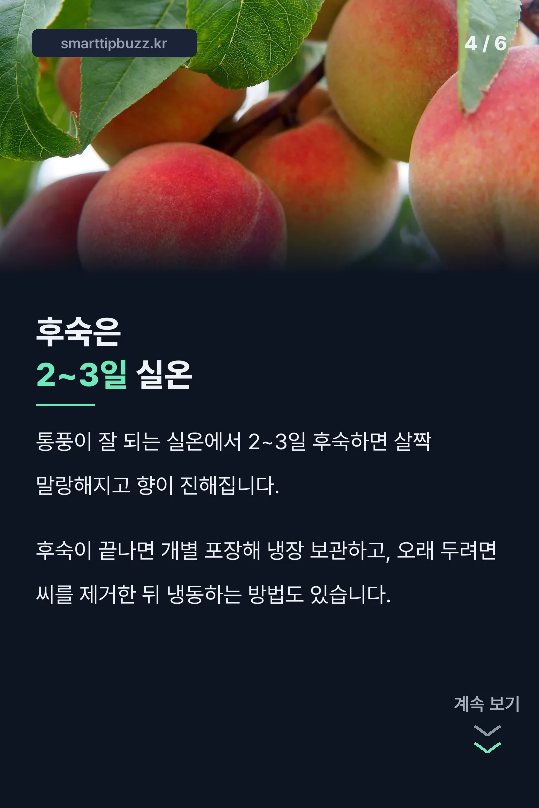 후숙과 보관법