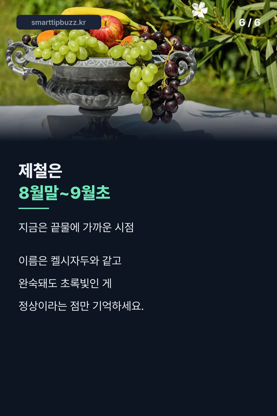 제철 시기 마무리