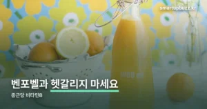 종근당 비타민B — 활력 비타민B 플러스, 벤포벨과 헷갈리지 않으려면
