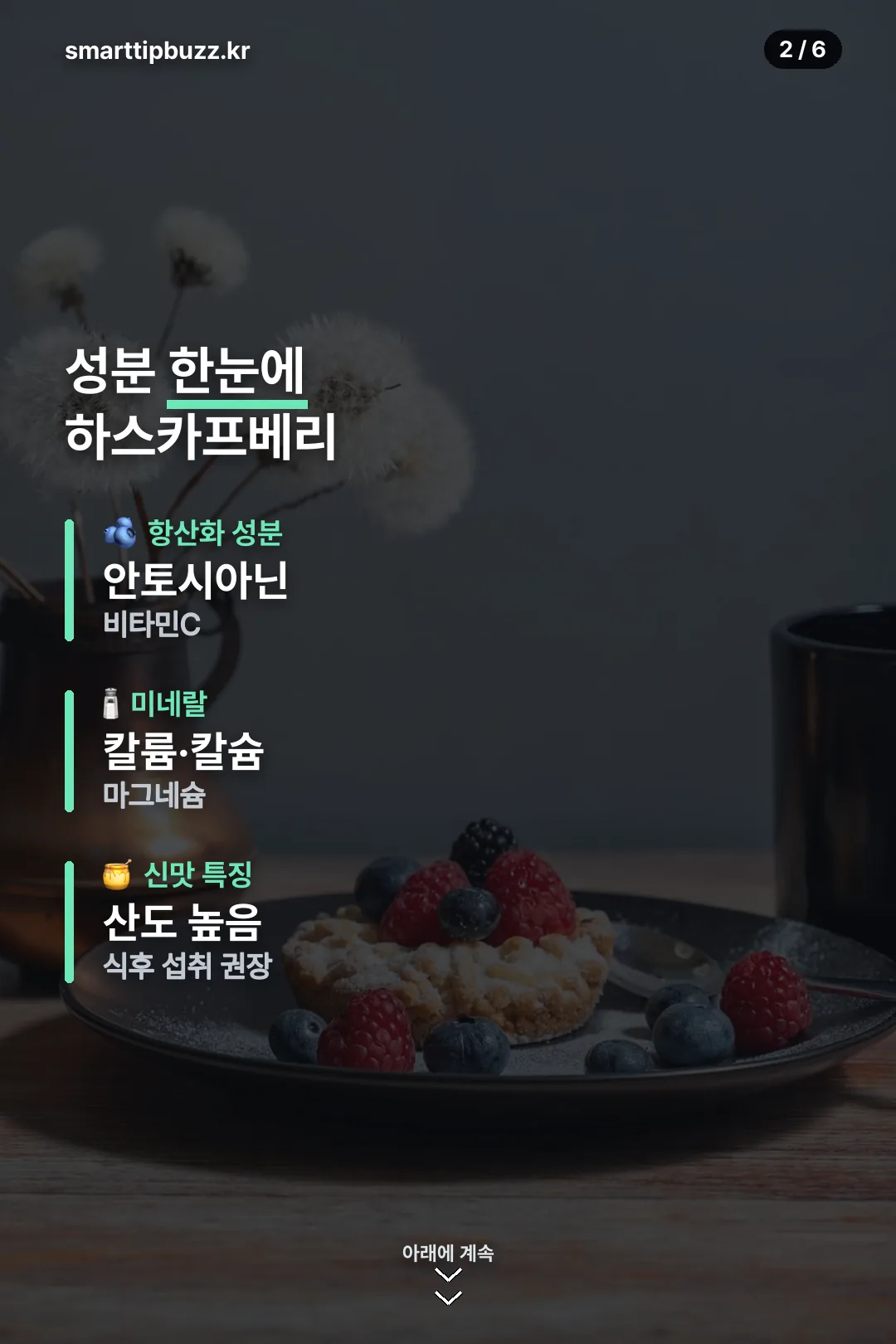 하스카프베리 성분 한눈에 보기