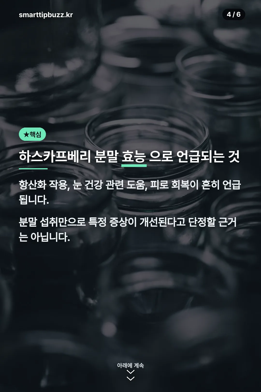하스카프베리 분말 효능으로 언급되는 것