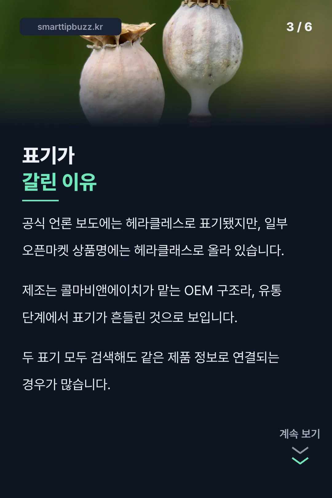 표기가 갈린 이유