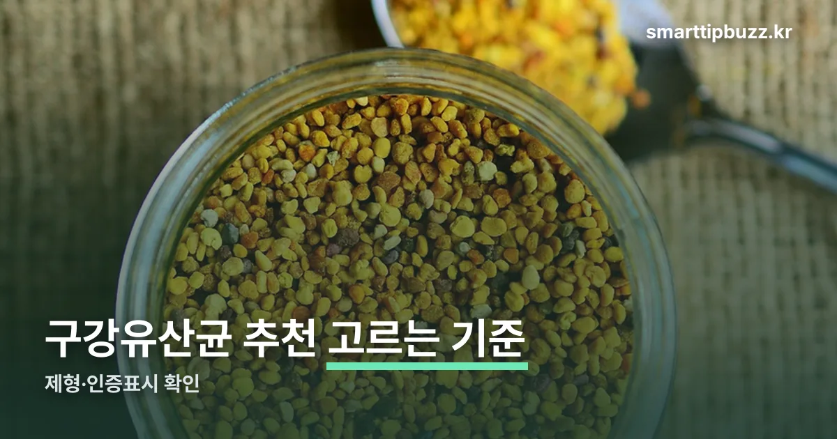 구강유산균 추천 정리 썸네일