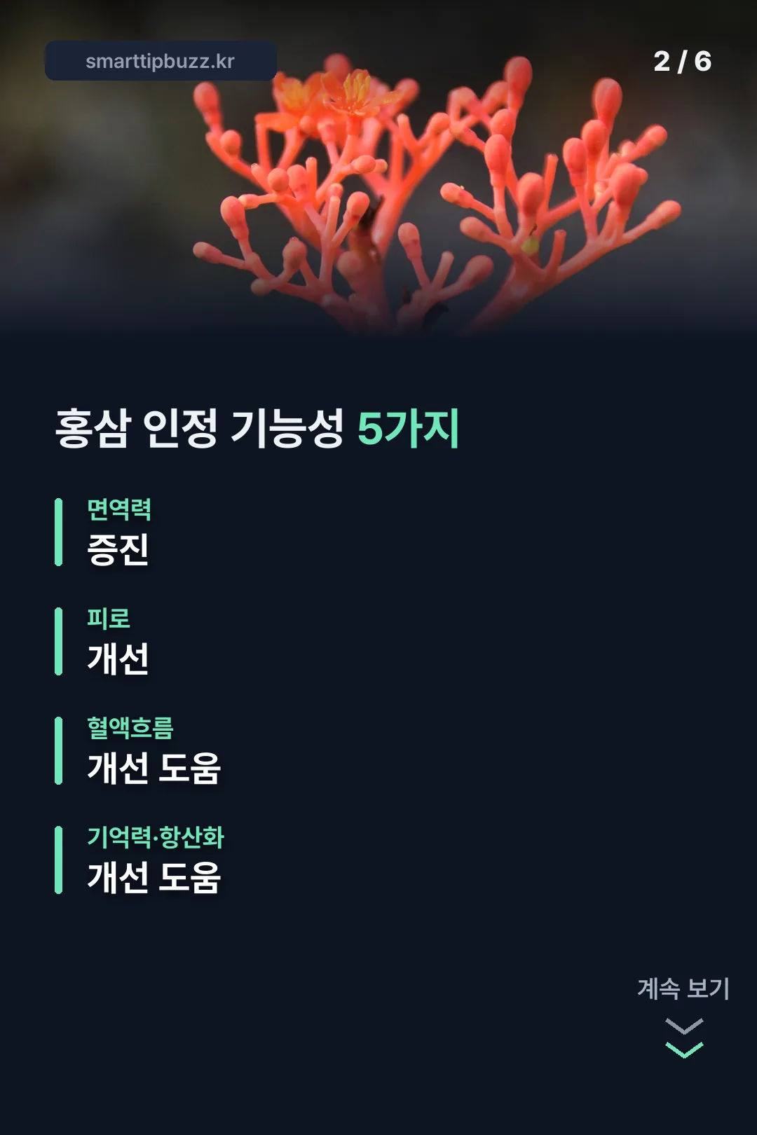 홍삼 인정 기능성 5가지