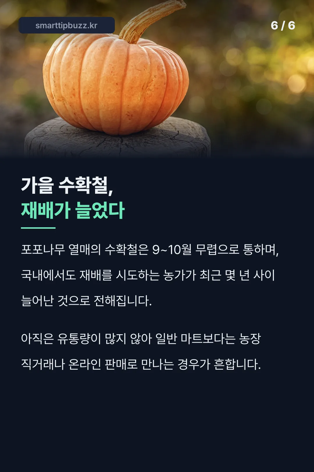 가을 수확철, 재배가 늘었다